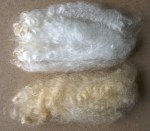 Finnsheep fleece