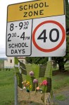 School Zone Posies